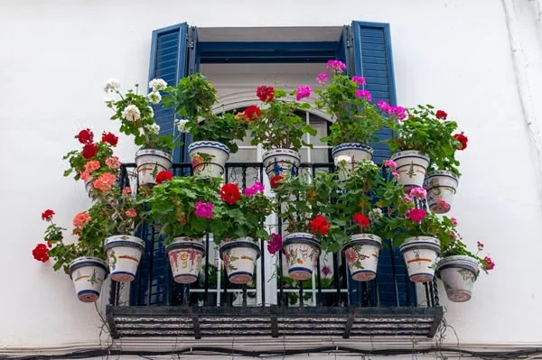 صورة توضيحية عامة