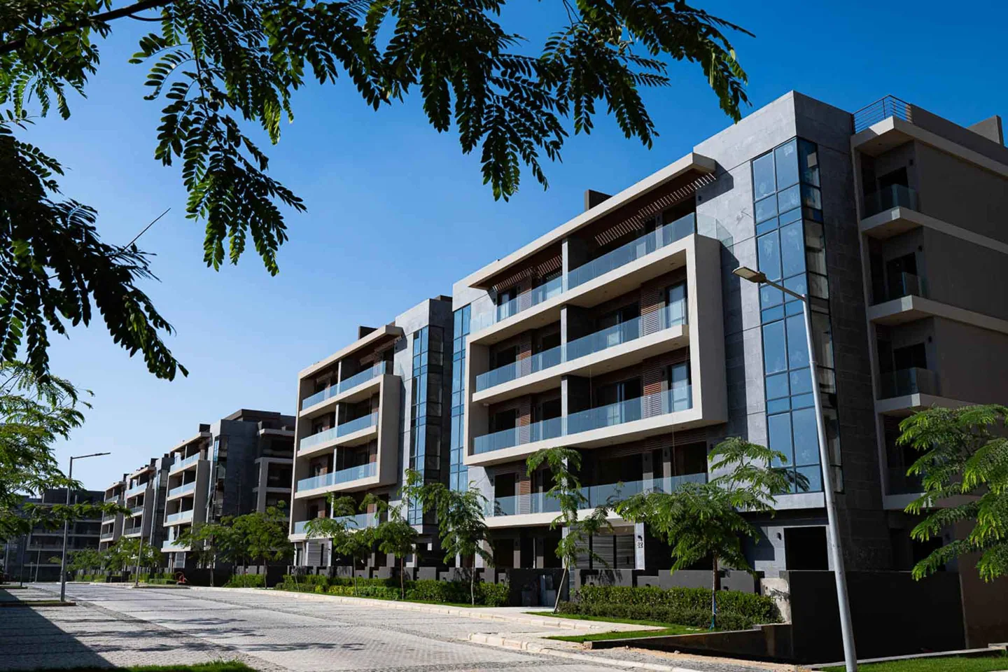 General project image: El Patio Oro